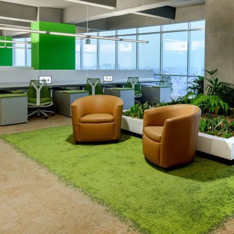 Green Office Interior Designer in Delhi NCR