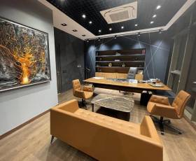 Executive CEO Cabin